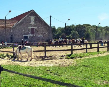 フランス 乗馬学校