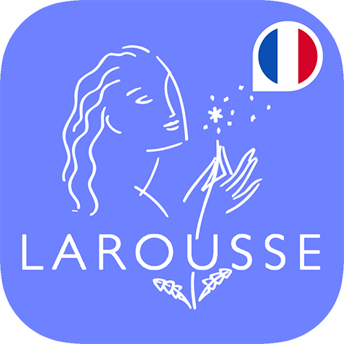 Dictionnaire Larousse français