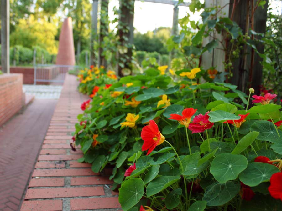 Jardin Yitzhak Rabinの花壇